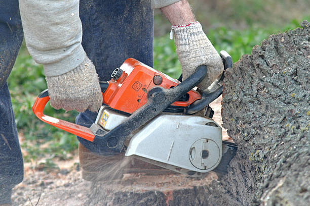Soil Testing and Treatment in Kiel, WI